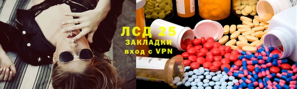 сатива Бугульма