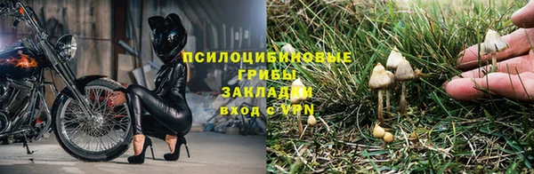 марки nbome Беломорск