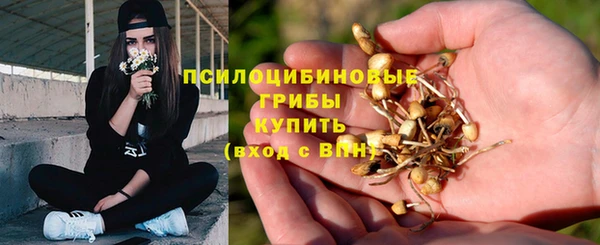 apvp Богданович