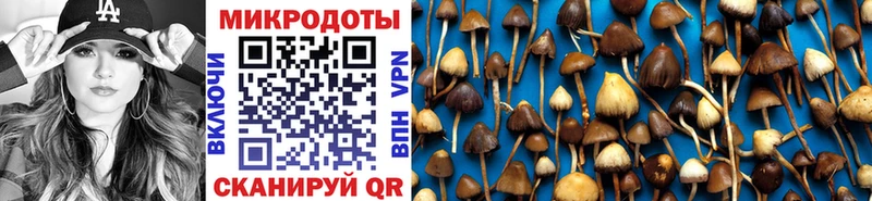 Галлюциногенные грибы мухоморы  мега   Великие Луки  купить закладку 